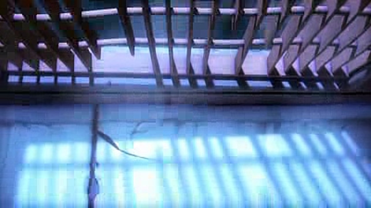 LARVA - Episode 24 - Out of Body