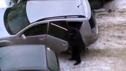 Сосед приехал на машине 31.01.2017 с 9 этажа