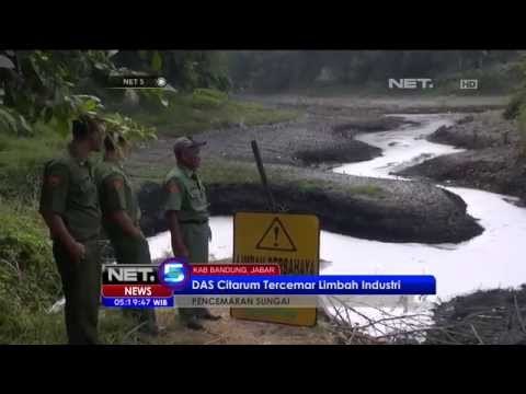 Sungai Citarum di Bandung Tercemar Limbah Industri - NET5