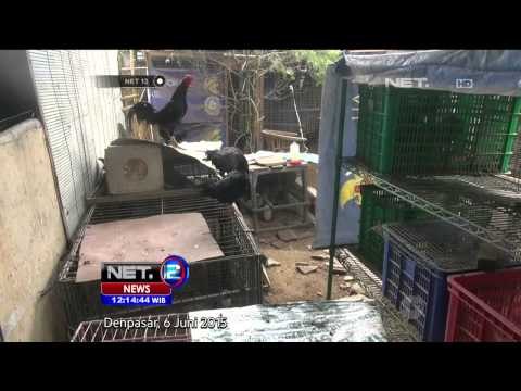 Jejak Margriet Dalam Kasus Pembunuhan Engeline - NET12