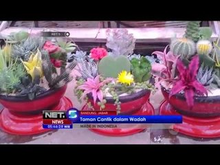 Parsel Tanaman Made In Indonesia - NET5