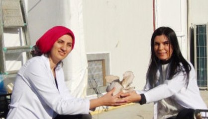 Aile Bütçelerine Katkı İçin Başladılar, Ayda 10 Ton Mantar Üretiyorlar