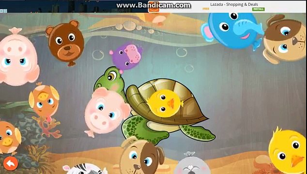 Baby Learn About Farm Animals - Real Video Of The Animals - Animal Puzzles For Kids and Toddlers