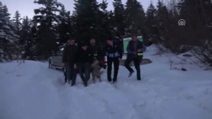 Yaralı Karacadan Kurtarma Ekibine "Teşekkür Öpücüğü"