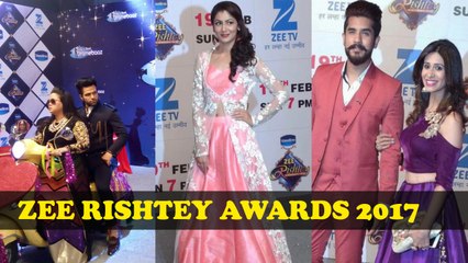 Red Carpet Of Zee Rishtey Awards 2017