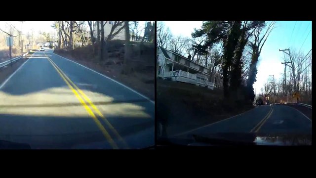 Une biche vient s'écraser contre une voiture... Violent