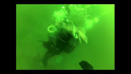 Cette femme est prise de panique pendant une plongée !