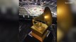 Surprising Facts You Never Knew About the Grammy Awards