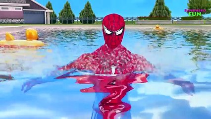 Spiderman Pink Spidergirl Frozen Elsa Swimming Pool Joker Prank | Hulk Finger Family Kids Songs