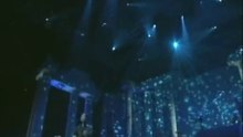 チューリップ "サボテンの花" LIVE