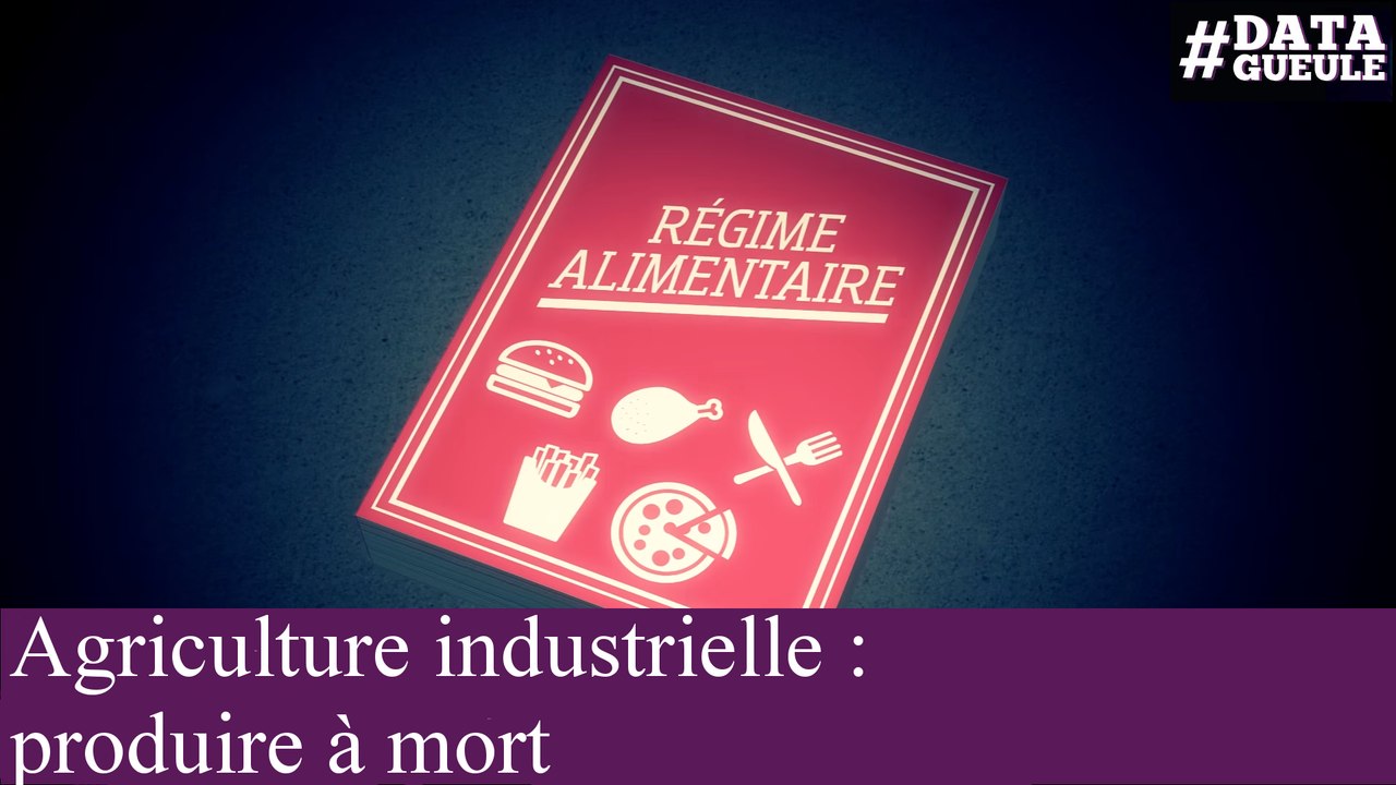 Agriculture industrielle : produire à mort #DATAGUEULE 69