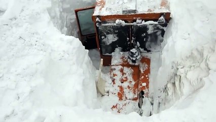 Как Серёга трактор искал ...