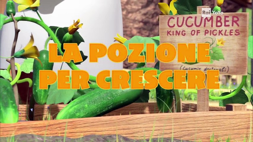 Masha E Orso La Pozione Per Crescere