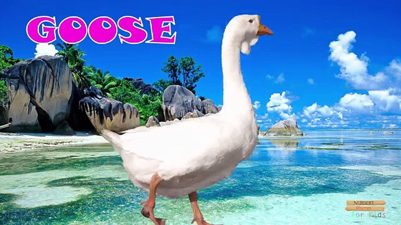 Domestic Animals learning Nursery Rhymes | Domestic animals Names for Children to learn