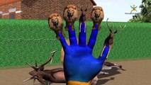 Lion Attacks Animals Finger family 3d rhyme | Animated Nursery Children rhymes Collection