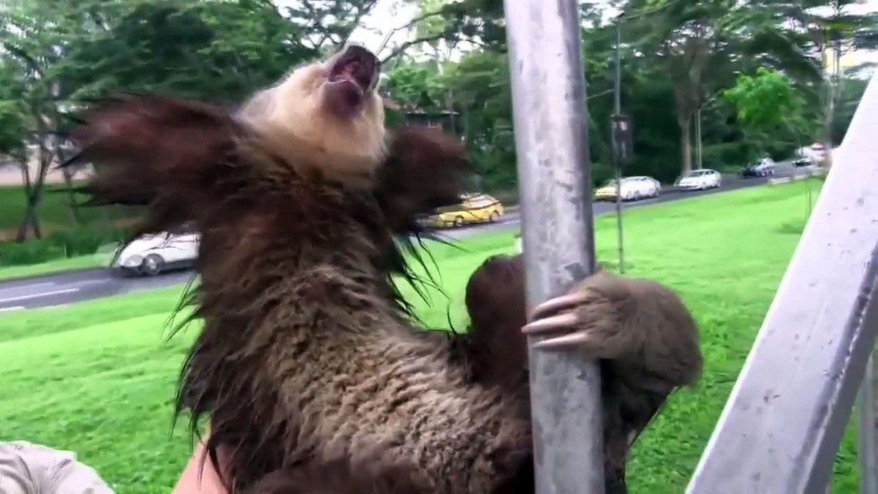 НЕ Останавливай меня/ Новинка в Coub #22/ FAIL COUB