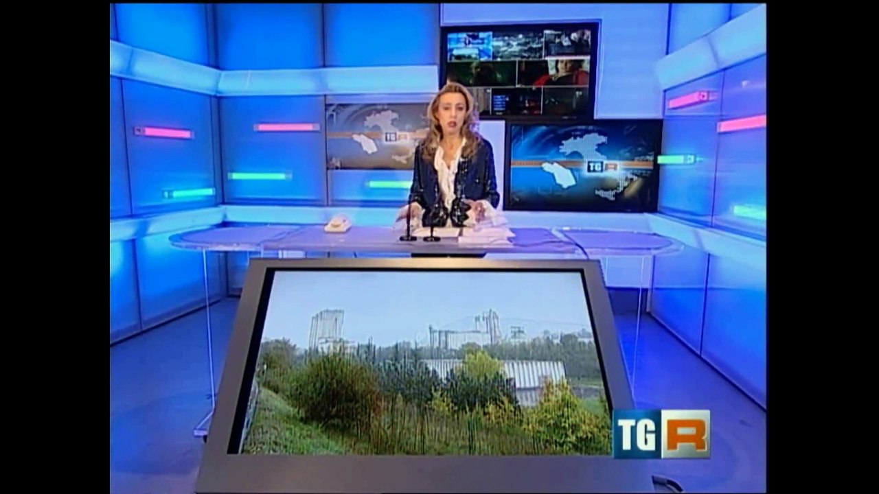 Sacci - Tg regionale - 28-02-2013