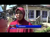 Belasan Desa di Lereng Gunung Slamet Krisis Air - NET16