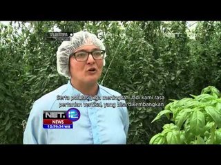 Pertanian Hidroponik, Sistem Tanam Masa Depan - NET12
