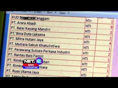 Dampak Kabut Asap Tebal di Pekanbaru Riau - NET12