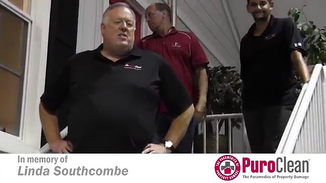 Mold Removal Services Wyandotte - Fire Damage Wyandotte - 734-225-2552