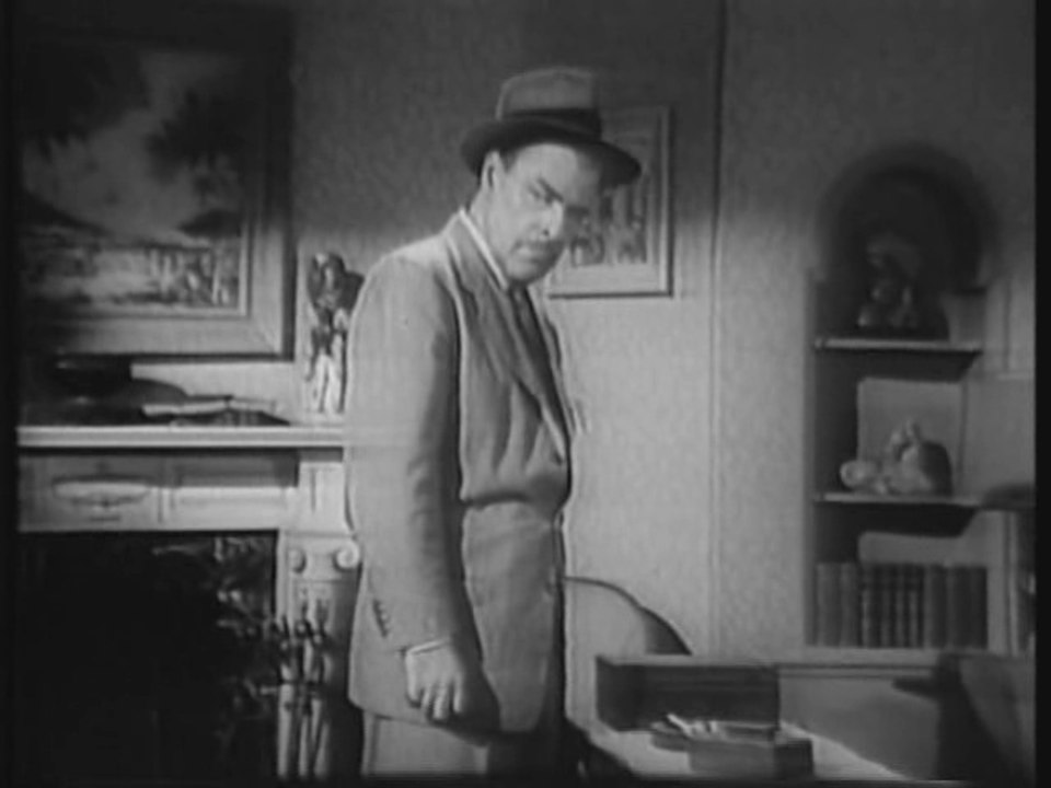 DANGEROUS ASSIGNMENT-The Sunflower Seed Story