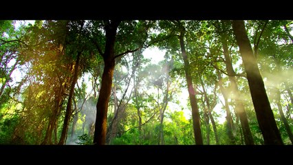 Vanamagan - Official Teaser | Jayam Ravi | Vijay | HarrisJayaraj