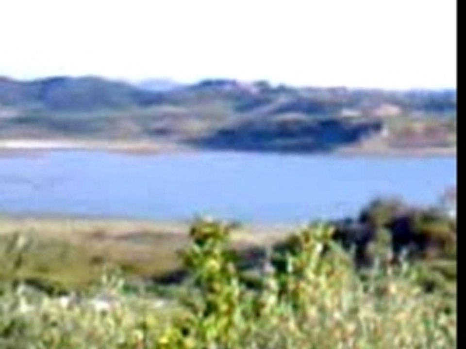 ξενιες