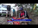 Harga Murah, Petani di Garut Buang Tomat di Selokan - NET24