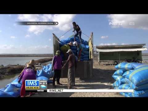 Musim Kemarau Menjadi Berkah Petani Garam di Madura - IMS