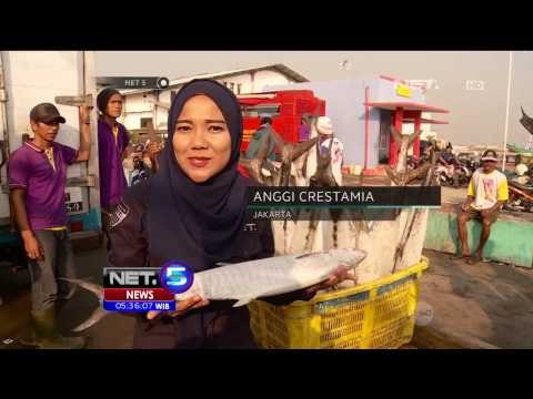 Dampak Kemarau Panjang dan El Nino Terhadap Indonesia - NET5