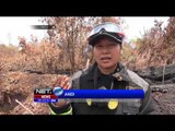 Aksi Dua Wanita Tangguh Berjibaku Padamkan Kebakaran Lahan dan Hutan di Siak - NET5