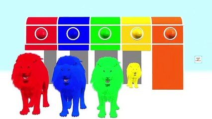 Lion King Colors For Children To Learn | Cartoon Lion 3D Learning Colours for Kids Baby Learning