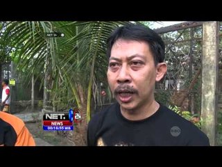 Download Video: Warga Desa Cikupa Menyerahkan Macan Kumbang ke BKSDA - NET24