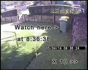 Sombra Misteriosa (((Real Shadow)))