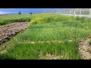 BU YAZ TATILE ÇIKIN