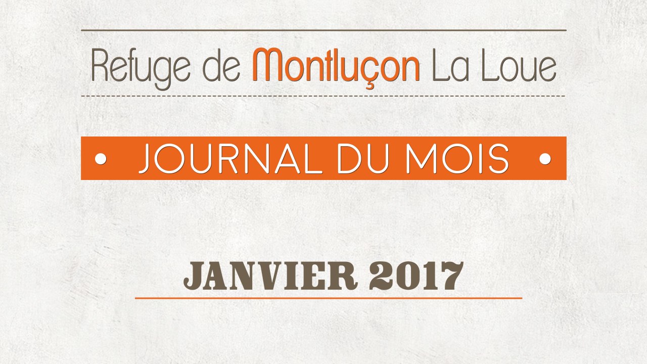Un mois au refuge : janvier 2017