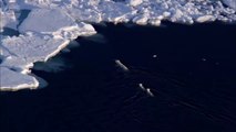 من نتائج الاحتباس الحراري: ذوبان جليد القطبين، وارتفاع منسوب سطح البحر وتأثير ذلك على الإنسان والبيئة