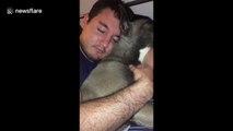 Man cuddles his dog during nap
