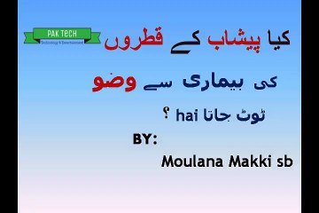 kya peshab k qatre ki bemari  se wazu tot jata ha