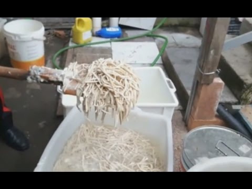 Terzigno (NA) - Sequestrato pastificio abusivo gestito da cinese (28.01.17)