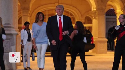 President Trump: 'Any Negative Polls are Fake News' About Travel Ban