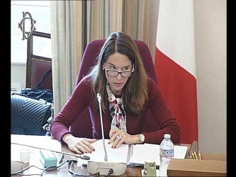 Roma - Audizione ambasciatrice Frazier (01.02.17)