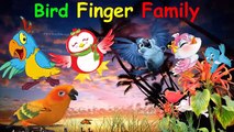 Bird Finger Family Song [Nursery Rhyme] Finger Family Fun | Toy PARODY