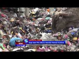 Sapi Diternak di Tempat Pembuangan Sampah Akhir Laris Dijual - NET5