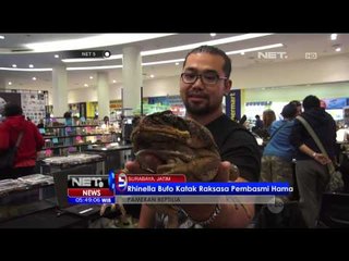 Pameran Satwa Reptil di Mal Surabaya - NET5