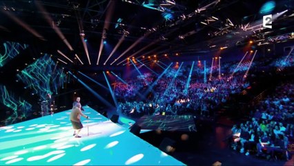 Les Bodin's dans "le grand show de l'humour" sur France 2 avec Michel Drucker (04/02/2017)