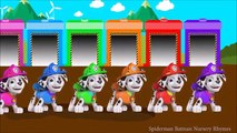 Marshall Paw Patrol Colors For Children To Learn | Learning Colours for Kids with Paw Patrol