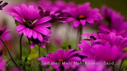 Jind Meri Mahi Mahi Kookdi - Nusrat Fateh Ali Khan