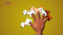 Dog Cartoons Animation Singing Finger Family Nursery Rhymes for Preschool Childrens Song